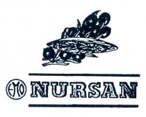 emo nursan