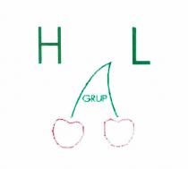 hl grup şekil