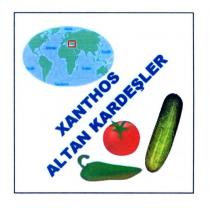 xanthos altan kardeşler