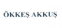 ökkeş akkuş