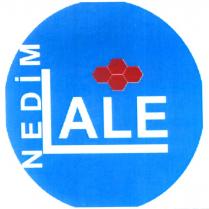 nedim lale şekil