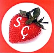 sç şekil