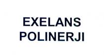 exelans polinerji