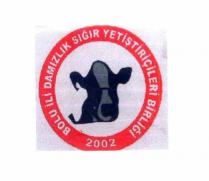 bolu ili damızlık sığır yetiştiricileri birliği şekil