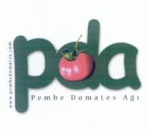 pda pembe domates ağı şekil