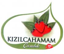 kızılcahamam çamlık