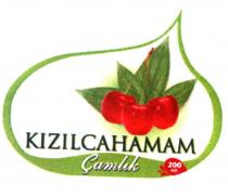 kızılcahamam çamlık