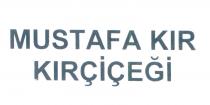 mustafa kır kırçiçeği