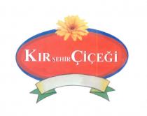 kırşehir çiçeği