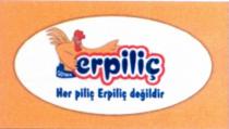 göynük erpiliç her piliç erpiliç değildir