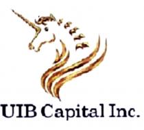 uib capital inc.