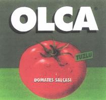 olca tuzlu domates salçası