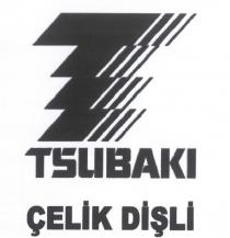 tsubaki çelik dişli