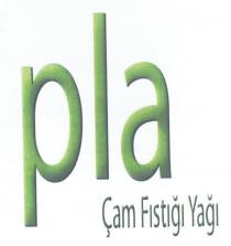 pla çam fıstığı yağı