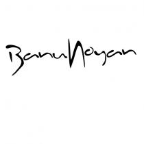 banu noyan