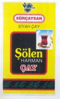 sürçaysan siyah çay şölen harman çay