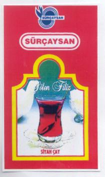 sürçaysan şölen filiz siyah çay