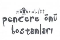 naturalist pencere önü bostanları