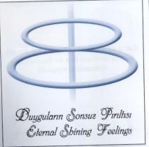duyguların sonsuz pırıltısı eternal sbining feelings