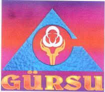 gürsu