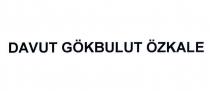 davut gökbulut özkale