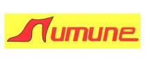 numune