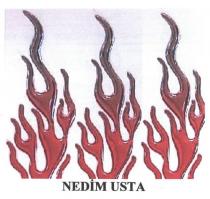 nedim usta