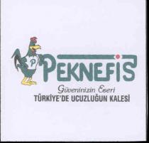 peknefis güveninizin eseri türkiye´de ucuzluğun kalesi p