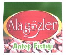 alagözler antep fıstığı