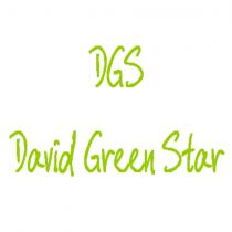 dgs david green star