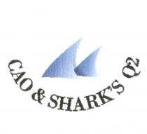 cao&shark's q2