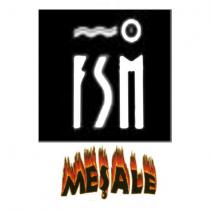 fsm meşale