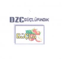 dzc güçlü fındık +