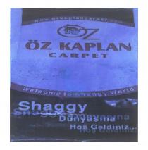 öz kaplan carpet welcome to shaggy world