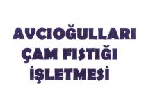 avcıoğulları çam fıstığı işletmesi