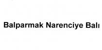 balparmak narenciye balı