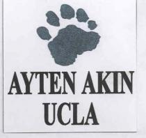 ayten akın ucla