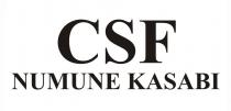 csf numune kasabi