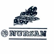 emo nursan