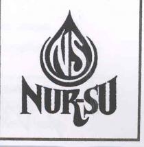 ns nursu