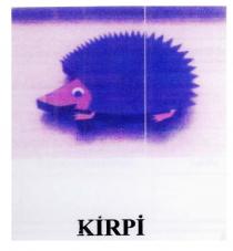 kirpi