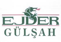 ejder gülşah