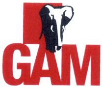 gam