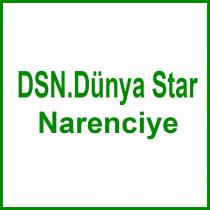 dsn.dünya star narenciye