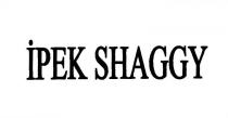 ipek shaggy
