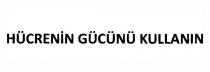 hücrenin gücünü kullanın