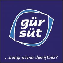 gürsüt ...hangi peynir demiştiniz?