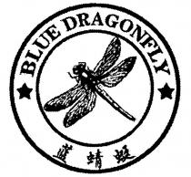blue dragonfly