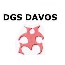 dgs davos