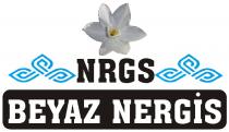nrgs beyaz nergis